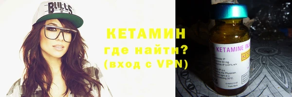 шишки Сатка