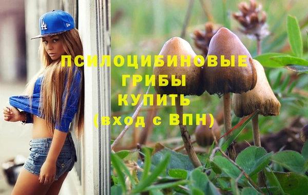 mdma Белокуриха