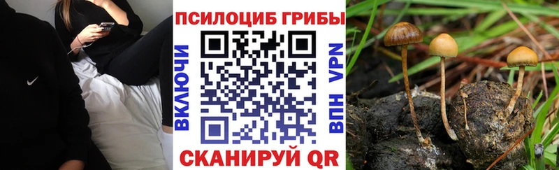 Галлюциногенные грибы ЛСД  закладки  Бузулук 